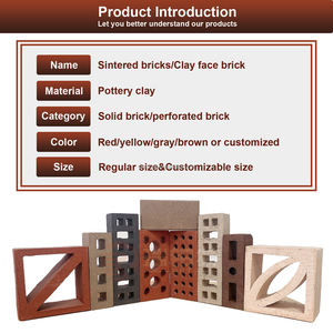 ROBERT Azulejo de terracota Acabado liso natural Ladrillo de pared de construcción rojo - Product Image 2