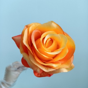 Vente en gros de fleurs artificielles à tige unique BX1001-I rose mariage maison Offre Spéciale d'usine colorée roses en vrac à bas prix - Product Image 4