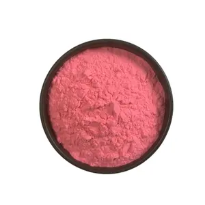 100% Pure high quality Blood Orange Juice Powder blood orange powder