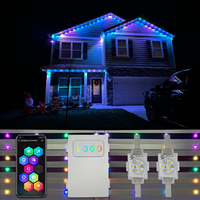 Twinklight LED Pixel Lighting pour écrans de vacances Convient pour une alimentation 48V fiable Idéal pour les événements permanents et festifs