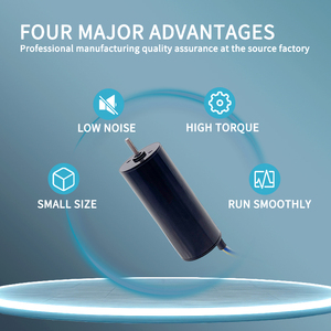 12 वी स्थायी मैग्नेट मिनी 20 मिमी 5000 आरपीएम उच्च गति टॉर्क लंबे जीवनकाल मोटर होम उपकरण तकनीकी 2047 डीसी ब्रशलेस मोटर - Product Image 2