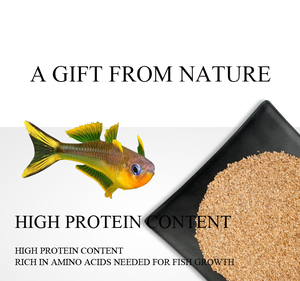 Food for <strong>small</strong> fish high quality dry Dafnia <strong>worm</strong> - Product Image 5
