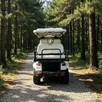 Voiturette de golf électrique personnalisée Rainbow 6 places avec batterie au lithium 72V et moteur 5kW certifiée DOT pour les terrains de golf et les clubs
