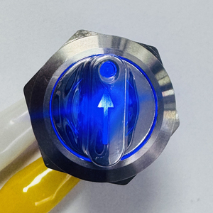 ZLQ19F-SWX11Z-B24V-S Saklar Tekan Logam dengan Pengunci Otomatis SPDT, Rumah SUS Tahan Debu IP60 IK10 dengan Lampu LED Biru Terang - Product Image 1
