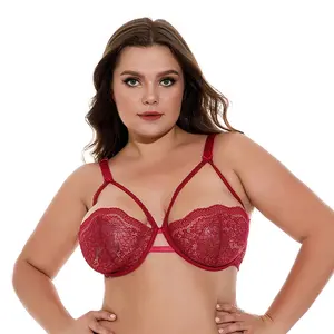 OEM Underwire مغر شفافة بقماش شفاف سحر مثير الدانتيل كبير XXL DD F G كوب زائد حجم الملابس الداخلية