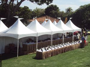 6x6 m a buon mercato all'aperto <span class=keywords><strong>pogada</strong></span> tenda di nozze per la cerimonia nuziale ospitare 80 persone - Product Image 4