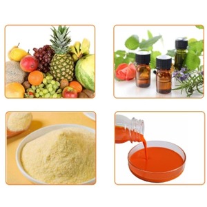 Poudre d'extrait naturel <span class=keywords><strong>de</strong></span> melon pour jus <span class=keywords><strong>de</strong></span> fruits, assaisonnement <span class=keywords><strong>de</strong></span> soda, <span class=keywords><strong>5</strong></span> <span class=keywords><strong>kg</strong></span>, matière première <span class=keywords><strong>de</strong></span> qualité alimentaire, durée <span class=keywords><strong>de</strong></span> conservation <span class=keywords><strong>de</strong></span> 24 mois - Product Image 5