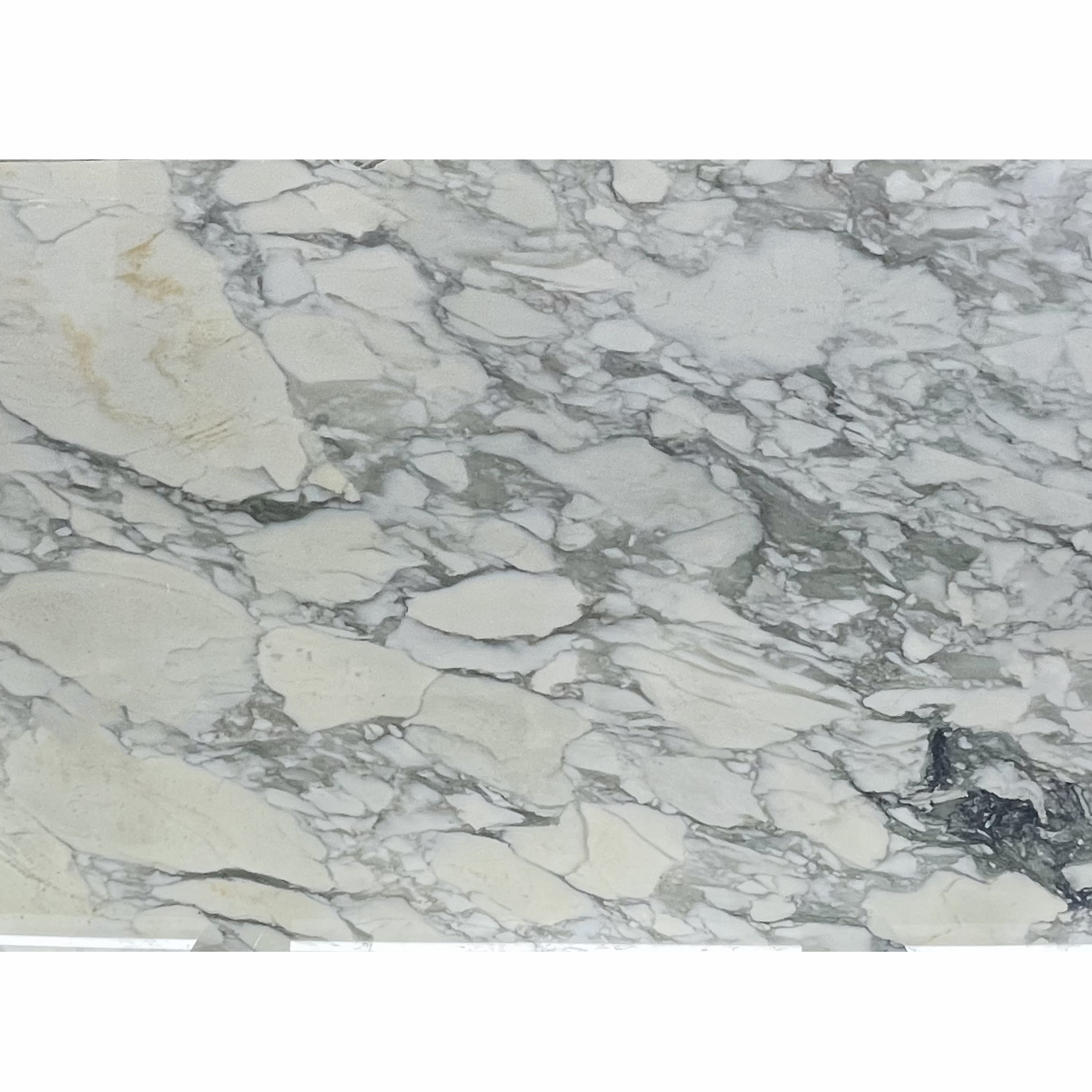 calacatta white