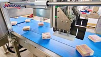Nouvelle machine à découper les sandwichs à ultrasons à double canal Wanlisonic, haute productivité