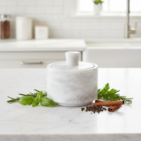 Marble Krafts, selière en marbre blanc et gris, pots à condiments, décoration de cuisine, bols à sel et à poivre, récipient à sel
