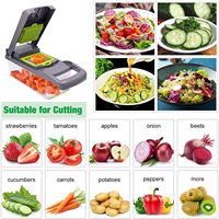 12 en 1 coupe-légumes multifonction de bonne qualité coupe-oignons de cuisine avec récipient séparateur d'oeufs