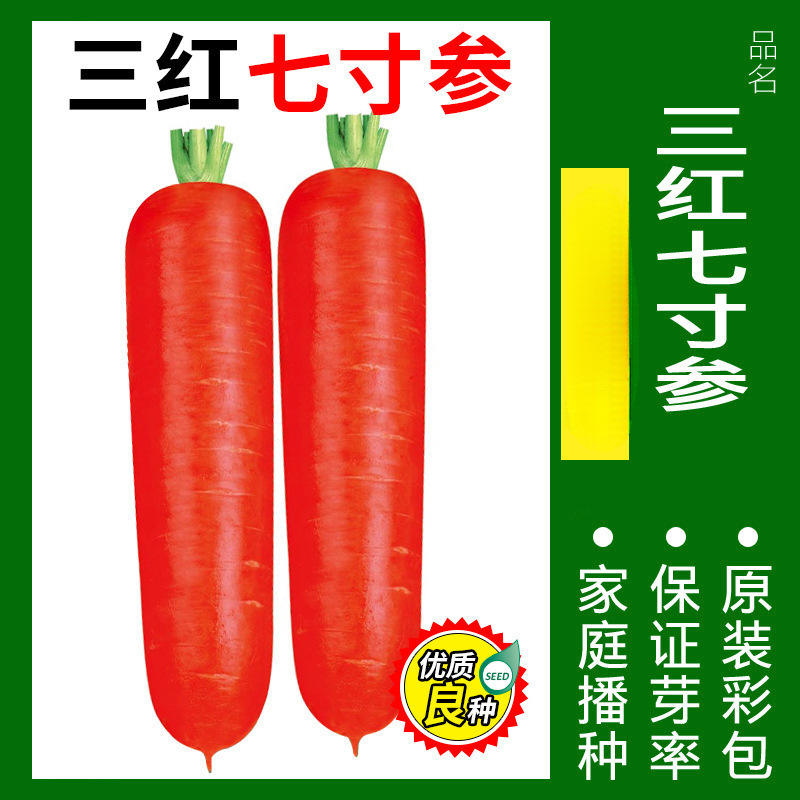 6# แครอท 2000 เมล็ด