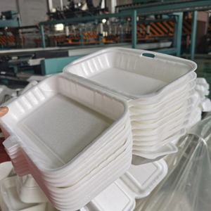 Macchina per la Produzione di Contenitori Alimentari in Polistirolo Espanso (PS) Monouso, con 25 Anni di Esperienza di Fabbrica - Product Image 2