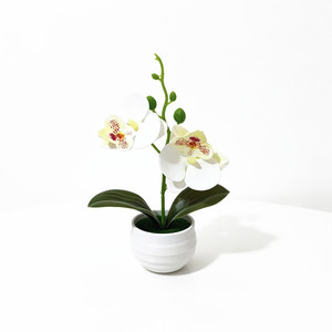 Planta Artificial en Maceta de Orquídea Phalaenopsis en Miniatura Paulon, Dos Flores, 17.5 cm de Alto, Decoración para el Hogar, Accesorio para Fotografía en Exteriores - Product Image 5