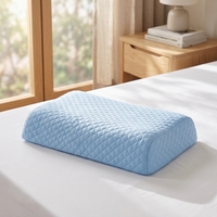 Oreiller cervical ergonomique en mousse à mémoire de forme, massage 3D, tissu respirant en polyester/bambou, léger (1-2 kg), pour un sommeil confortable