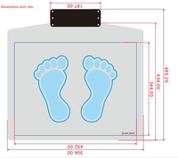 Analyseur de pression plantaire Maxrays haute précision, kit de capteurs 32x64 pixels, montage Plug & Play pour la distribution de la pression plantaire