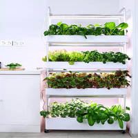Système aquaponique vertical automatique pour jardin domestique, couverture en PVC haute rigidité, fournitures complètes d'irrigation, culture de légumes