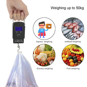 Appareil de pesage et de contrôle du poisson 50KG balance suspendue avec Logo ROUTE99 balance de pêche numérique électrique bon marché - Product Image 3