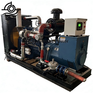 Generador de Biogás de 50kw, Fácil Mantenimiento, Bajo Costo, Certificado ROHS, para Agricultura a Pequeña Escala - Product Image 1