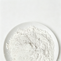 Nano Alúmina CAS 1344-28-1, Polvo de Grado Nano con 99.9% de Pureza para Recubrimiento de Separadores de Baterías de Litio
