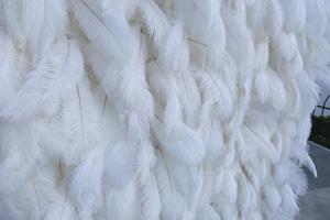 フリーデザインのフェザーウォール/フローラルウォール-楽しい日に自然とエレガンスをプラス - Product Image 3