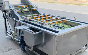 Laveuse à bande transporteuse <span class=keywords><strong>avec</strong></span> trémie pour légumes et fruits, machine à laver à bulles <span class=keywords><strong>avec</strong></span> sécheuse - Product Image 6