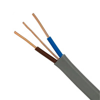 BS 6004 450/750V Kupfer-PVC-Elektrokabel 2,5mm mit 1,5mm Erdungskabel in Grau, Flachkabel