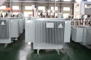 Manufacturer Price 50KV 630KV 200KV 1250KV Oil Immersed Transformers