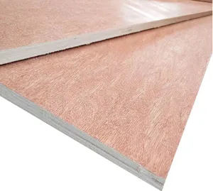 Fabricante profesional prensado BINTANGOR contrachapado de álamo 18mm precio chapa de madera laminada