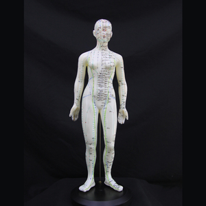 Modelo de punto de acupuntura humana CM, equipo de enseñanza médica, modelo de acupuntura de cuerpo humano - Product Image 2