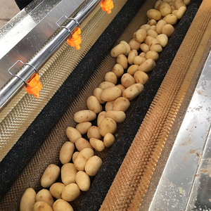 Venta caliente gran capacidad Industrial de Taro de yuca de zanahoria de coco lavadora máquina de <span class=keywords><strong>pelar</strong></span> - Product Image 2