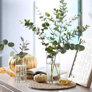 Estilo español Vintage <span class=keywords><strong>Madrid</strong></span> Relieve Diseño Rústico Pequeño Floral Cristal Hidroponía Flor Planta transparente Mini Florero de brotes de vidrio - Product Image 5