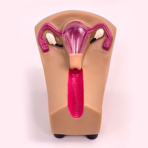 المهنية الطبية وسائل منع الحمل داخل الرحم جهاز التنسيب محاكاة أمراض النساء اللولب نموذج للتدريب - Product Image 5