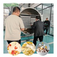 Zongon commerciële vriesdroger, grote capaciteit voor fruit, groenten, koffie, kip, mango, durian, okra, komkommer, kiwi