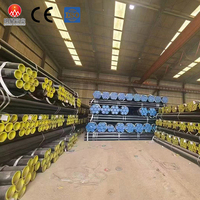 Tubo de Acero de Precisión EN 10305-1 con Tapas Protectoras de Plástico, Línea de Lubricación y Sistemas de Transferencia de Fluidos Automotrices