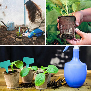 <strong>Biodegradable</strong> Seed Starter Kits Tray Garden Compostable Organic Flower <strong>Pot</strong> Paper Seedling Nursery Peat <strong>Pots</strong> With <strong>Plant</strong> Labels - Product Image 3