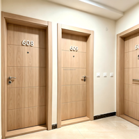 Portes Extérieures Classiques en Bois Ignifugées pour Villa, Entrepôt et Appartement - Personnalisables avec Garantie de 2 Ans Marque BST
