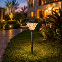 Lampe solaire d'extérieur pour allée de jardin 200 mm, étanche, à LED, à piquer dans le sol, avec télécommande, CCT 3000K-6500K, pour villa et cour