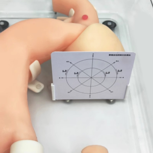 Modelo de Decúbito Lateral Gastrointestinal de Alta Calidad para Entrenamiento en Cirugía Gastroscópica, Modelo de Endoscopia - Product Image 3