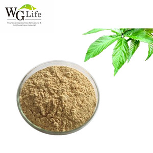 Bahan pemanis alami bubuk ekstrak teh manis kemasan Drum Rubusoside untuk minuman ekstrak tanaman - Product Image 5