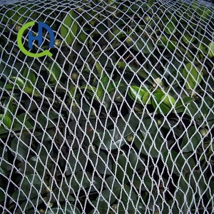 Filet anti-oiseaux en HDPE tricoté warp, résistant aux UV, service <span class=keywords><strong>de</strong></span> découpe sur mesure, durée <span class=keywords><strong>de</strong></span> vie <span class=keywords><strong>de</strong></span> 1 à 5 ans pour vignobles, vergers et <span class=keywords><strong>arbres</strong></span> <span class=keywords><strong>fruitiers</strong></span> - Product Image 2