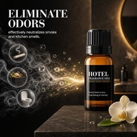 Parfum d'ambiance professionnel pour hall d'hôtel, liquide, longue durée, OEM, marque privée, vente en gros, huile parfumée pour hôtel