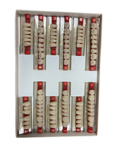 Nhà máy nhựa tổng hợp răng Acrylic răng giả nhà sản xuất - Product Image 6