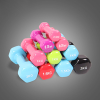 Haltère en plastique de gommage hexagonal de haute qualité pour les bodybuilders utilisent de petites cloches