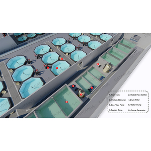 Thiết bị nuôi cá <span class=keywords><strong>Tilapia</strong></span> chuyên nghiệp Hệ thống RAS Thiết bị nuôi trồng thủy sản cho trang trại cá trong nhà - Product Image 2