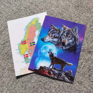 Carte postale 3D lenticulaire personnalisable avec mon propre <span class=keywords><strong>image</strong></span>, faible MOQ, personnalisation, carte stéréoscopique à effet de changement, pour la promotion, souvenir, cadeau - Product Image 1