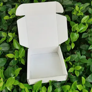 Impressão de logotipo personalizado caixa de envio de papelão ondulado para embalagem reciclada, tamanho colorido e luxuoso