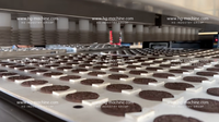 Nouvelle ligne de production de biscuits multi-usages de la marque HG, haute productivité, usine de fabrication de biscuits soda, prix d'usine