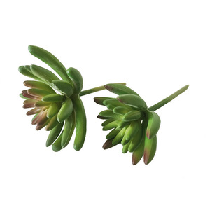 Planta Artificial de Simulación de <span class=keywords><strong>Suculenta</strong></span> de 11 cm, Duradera, Ecológica, de Alta Simulación, Planta de Plátano, Hermosa Decoración Floral - Product Image 3
