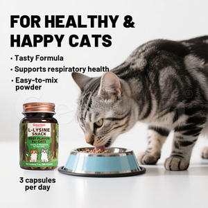 Complément alimentaire <span class=keywords><strong>pour</strong></span> chats à marque privée OEM, Glucosamine MSM, soutient la santé respiratoire, renforce l'immunité, <span class=keywords><strong>poudre</strong></span> de L-<span class=keywords><strong>Lysine</strong></span> <span class=keywords><strong>pour</strong></span> animaux de compagnie - Product Image 3